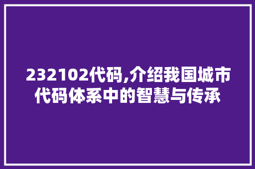 232102代码,介绍我国城市代码体系中的智慧与传承 人工智能