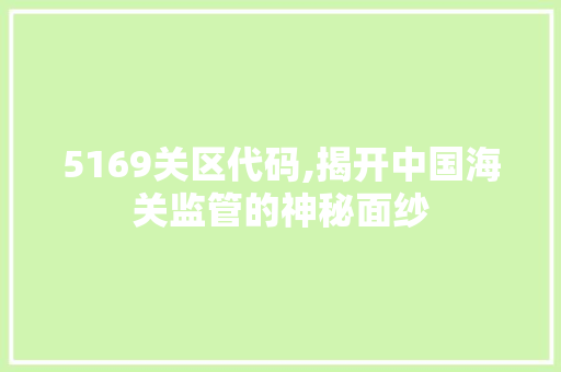 5169关区代码,揭开中国海关监管的神秘面纱 AI场景