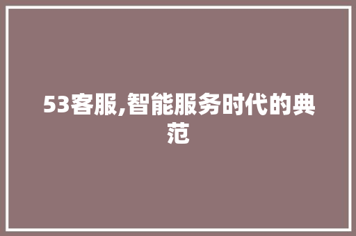 53客服,智能服务时代的典范 智能科技