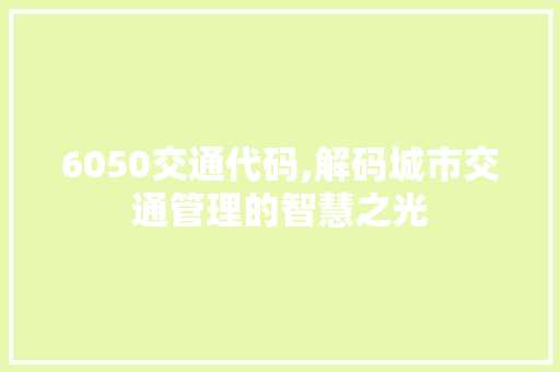 6050交通代码,解码城市交通管理的智慧之光 AI场景