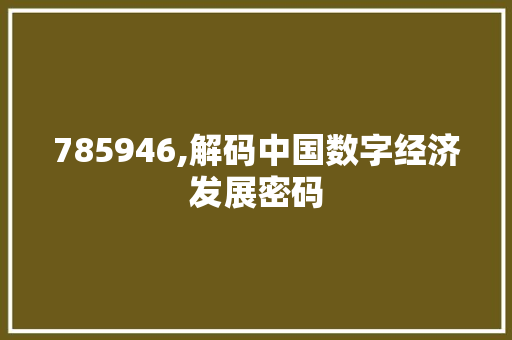 785946,解码中国数字经济发展密码 软件技术