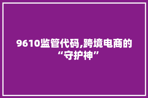 9610监管代码,跨境电商的“守护神” 智能科技