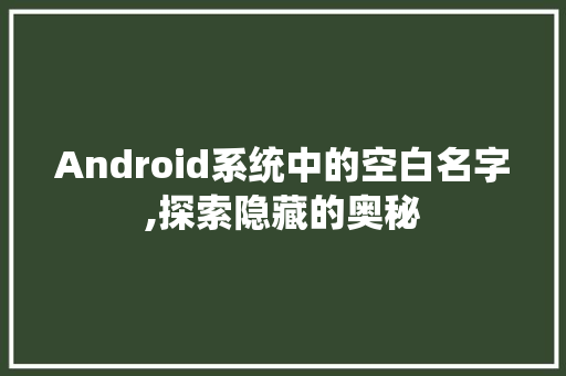 Android系统中的空白名字,探索隐藏的奥秘 人工智能