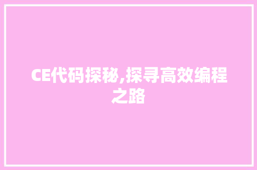 CE代码探秘,探寻高效编程之路 软件技术