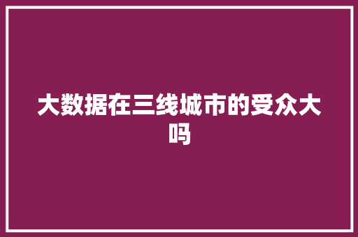 大数据在三线城市的受众大吗 人工智能