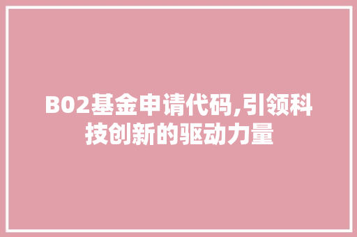 B02基金申请代码,引领科技创新的驱动力量 软件技术