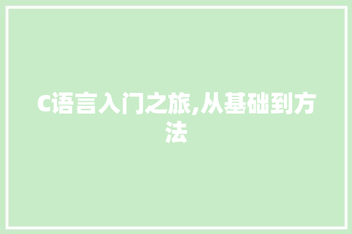 C语言入门之旅,从基础到方法 人工智能