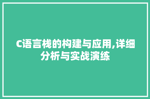 C语言栈的构建与应用,详细分析与实战演练 AI场景