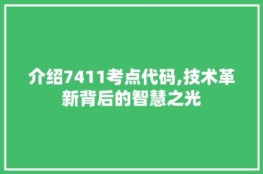 介绍7411考点代码,技术革新背后的智慧之光 AI场景
