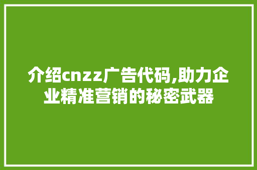 介绍cnzz广告代码,助力企业精准营销的秘密武器 智能科技