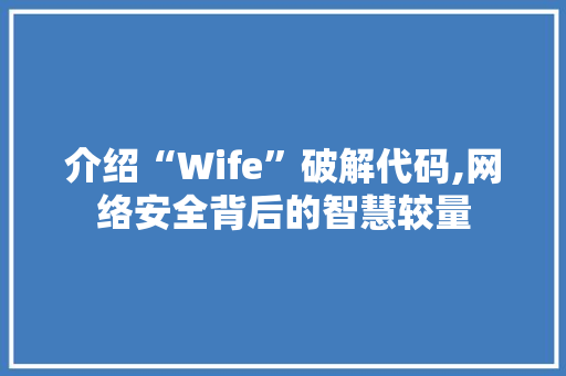 介绍“Wife”破解代码,网络安全背后的智慧较量 人工智能