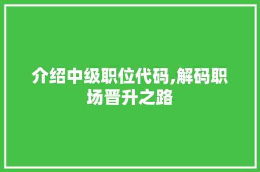 介绍中级职位代码,解码职场晋升之路 人工智能