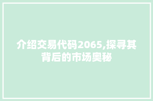 介绍交易代码2065,探寻其背后的市场奥秘 人工智能