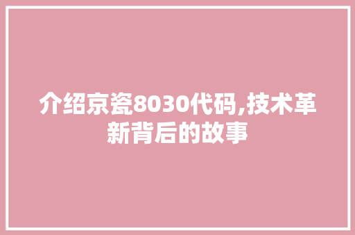 介绍京瓷8030代码,技术革新背后的故事 人工智能