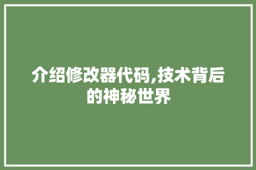 介绍修改器代码,技术背后的神秘世界 智能科技