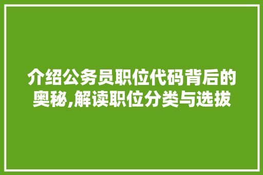 介绍公务员职位代码背后的奥秘,解读职位分类与选拔机制 软件技术