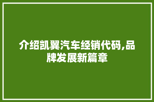 介绍凯翼汽车经销代码,品牌发展新篇章 AI场景