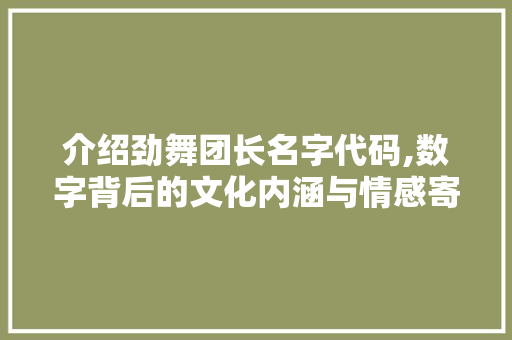 介绍劲舞团长名字代码,数字背后的文化内涵与情感寄托 智能科技