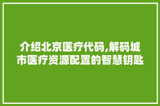介绍北京医疗代码,解码城市医疗资源配置的智慧钥匙 AI场景
