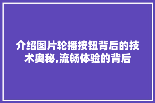 介绍图片轮播按钮背后的技术奥秘,流畅体验的背后 AI场景