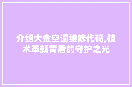 介绍大金空调维修代码,技术革新背后的守护之光 人工智能