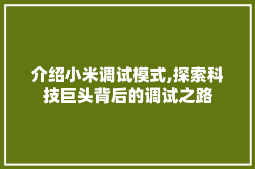 介绍小米调试模式,探索科技巨头背后的调试之路 人工智能