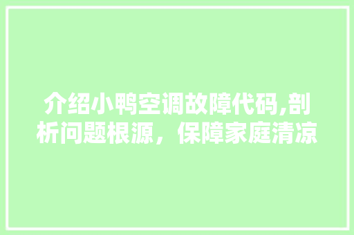介绍小鸭空调故障代码,剖析问题根源，保障家庭清凉夏日 人工智能
