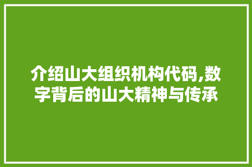 介绍山大组织机构代码,数字背后的山大精神与传承 AI场景