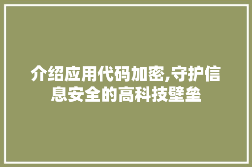 介绍应用代码加密,守护信息安全的高科技壁垒 AI场景