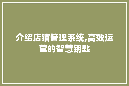 介绍店铺管理系统,高效运营的智慧钥匙 智能科技
