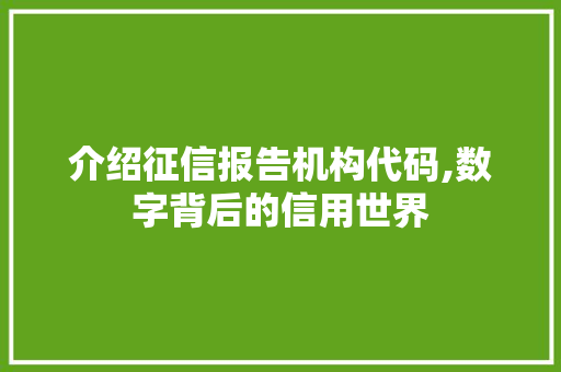 介绍征信报告机构代码,数字背后的信用世界 智能科技
