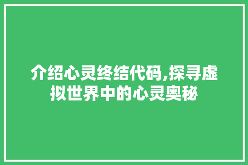 介绍心灵终结代码,探寻虚拟世界中的心灵奥秘 软件技术