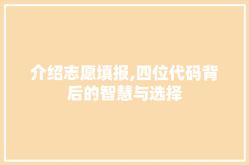 介绍志愿填报,四位代码背后的智慧与选择 人工智能