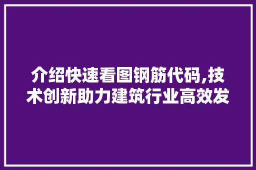 介绍快速看图钢筋代码,技术创新助力建筑行业高效发展 智能科技