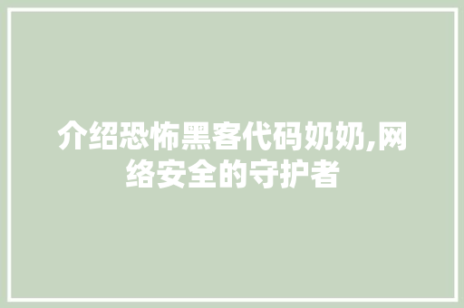 介绍恐怖黑客代码奶奶,网络安全的守护者 智能科技