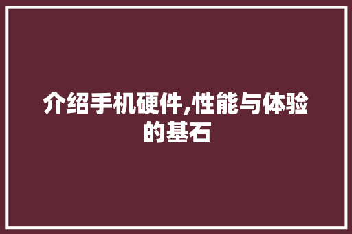 介绍手机硬件,性能与体验的基石 软件技术