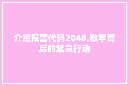 介绍报警代码2048,数字背后的紧急行动 AI场景