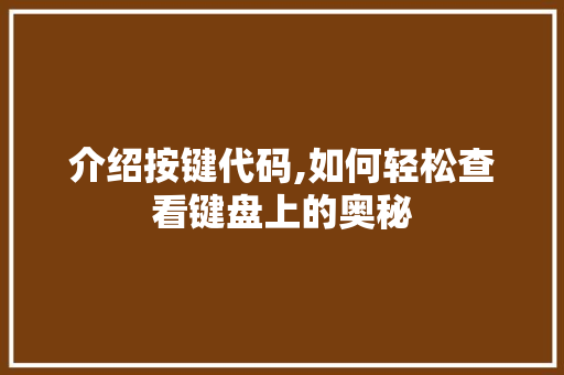 介绍按键代码,如何轻松查看键盘上的奥秘 软件技术