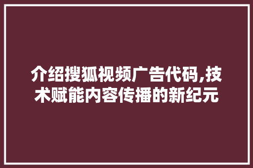 介绍搜狐视频广告代码,技术赋能内容传播的新纪元 软件技术