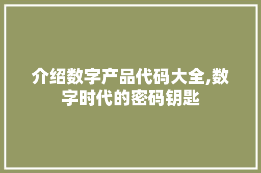介绍数字产品代码大全,数字时代的密码钥匙 AI场景