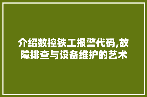 介绍数控铁工报警代码,故障排查与设备维护的艺术 软件技术