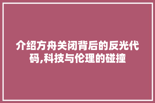 介绍方舟关闭背后的反光代码,科技与伦理的碰撞 软件技术
