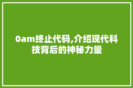 0am终止代码,介绍现代科技背后的神秘力量