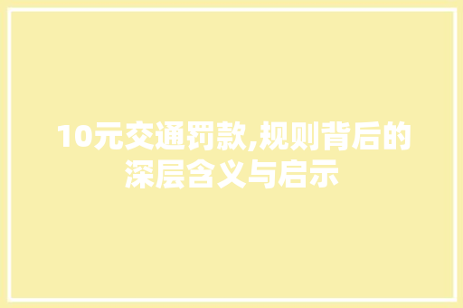 10元交通罚款,规则背后的深层含义与启示 AI场景