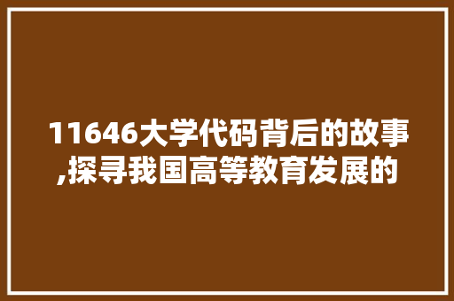11646大学代码背后的故事,探寻我国高等教育发展的脉络 软件技术