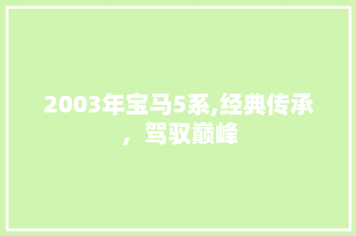 2003年宝马5系,经典传承，驾驭巅峰 软件技术