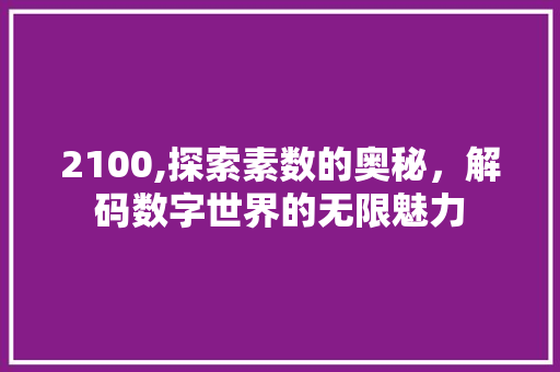2100,探索素数的奥秘，解码数字世界的无限魅力