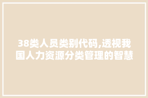 38类人员类别代码,透视我国人力资源分类管理的智慧之光