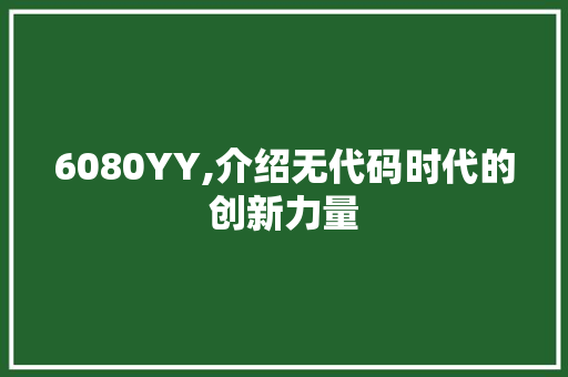 6080YY,介绍无代码时代的创新力量 AI场景