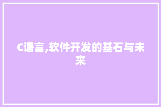 C语言,软件开发的基石与未来 软件技术